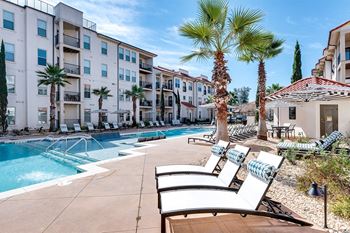 Swimming pool deck with palm tree